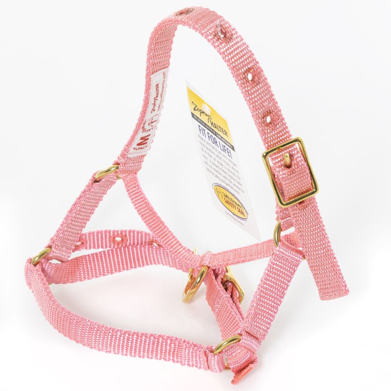 WALDHAUSEN Alpaka Halfter Größe XS Schwarz | Hochwertiges Pferdehalfter | Seit 1836